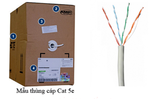 Cáp mạng Cat 5e AMP tại Đà Nẵng