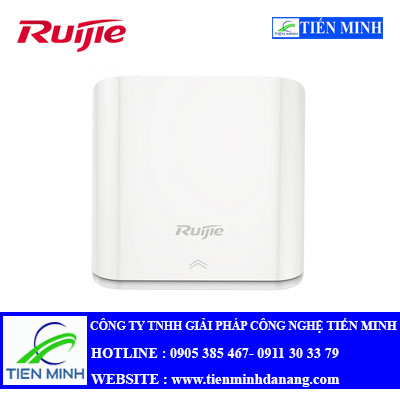 RUIJITE RG-AP110-L